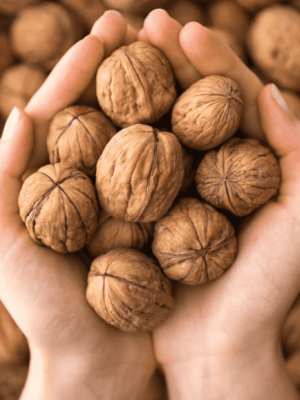 Các Loại Quả 